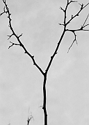 Wall_Art_Alphabet_Photography_Art_ 2539